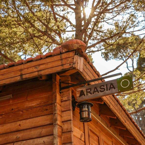 Bungalows La Maison de la Forêt Bkassine