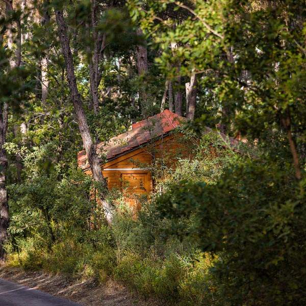 Bungalows La Maison de la Forêt Bkassine