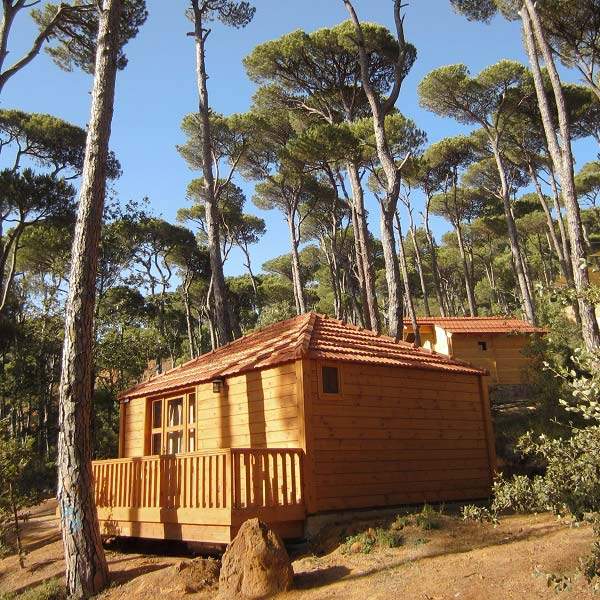 Bungalows La Maison de la Forêt Bkassine
