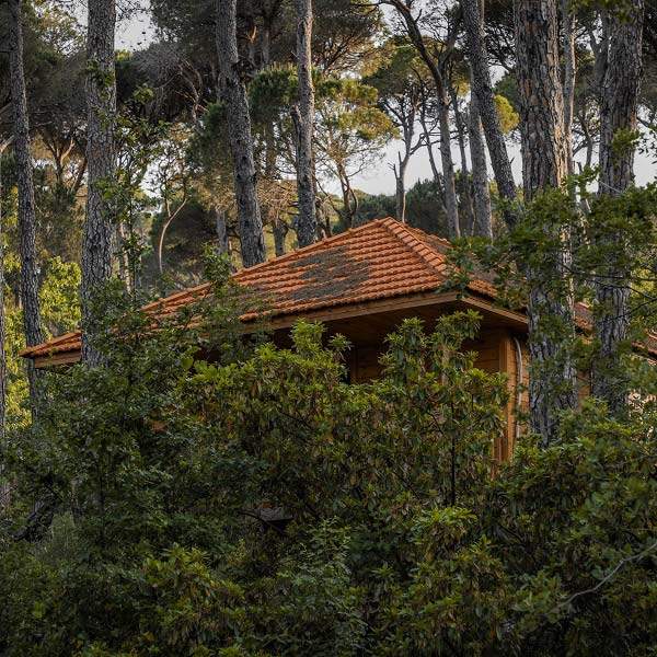 Bungalows La Maison de la Forêt Bkassine