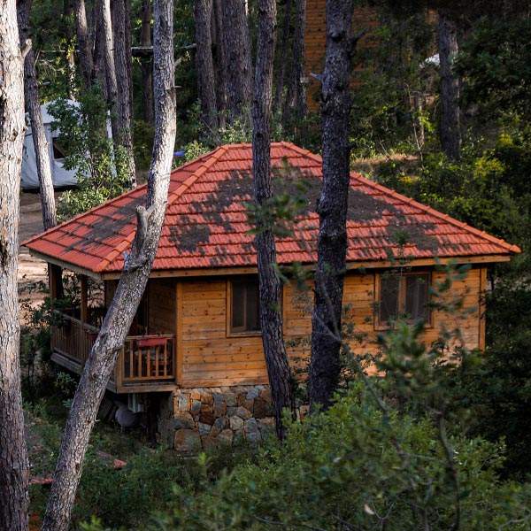 Bungalows La Maison de la Forêt Bkassine