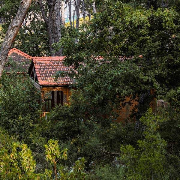 Bungalows La Maison de la Forêt Bkassine