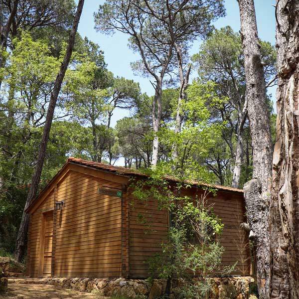 Bungalows La Maison de la Forêt Bkassine