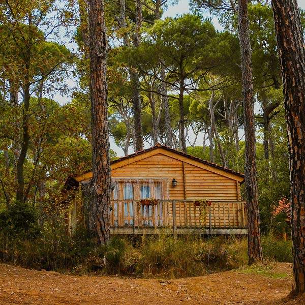 Bungalows La Maison de la Forêt Bkassine